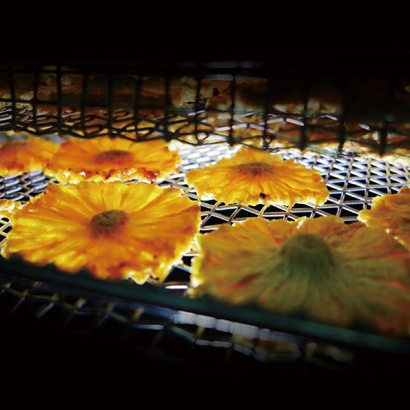 2011水果乾及堅果生產線通過慈心有機認證 第一支有機鳳梨太陽花果.jpg